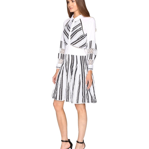 Zac Posen Organdy Stripe Black White Dress $1290! - Picture 8 of 14